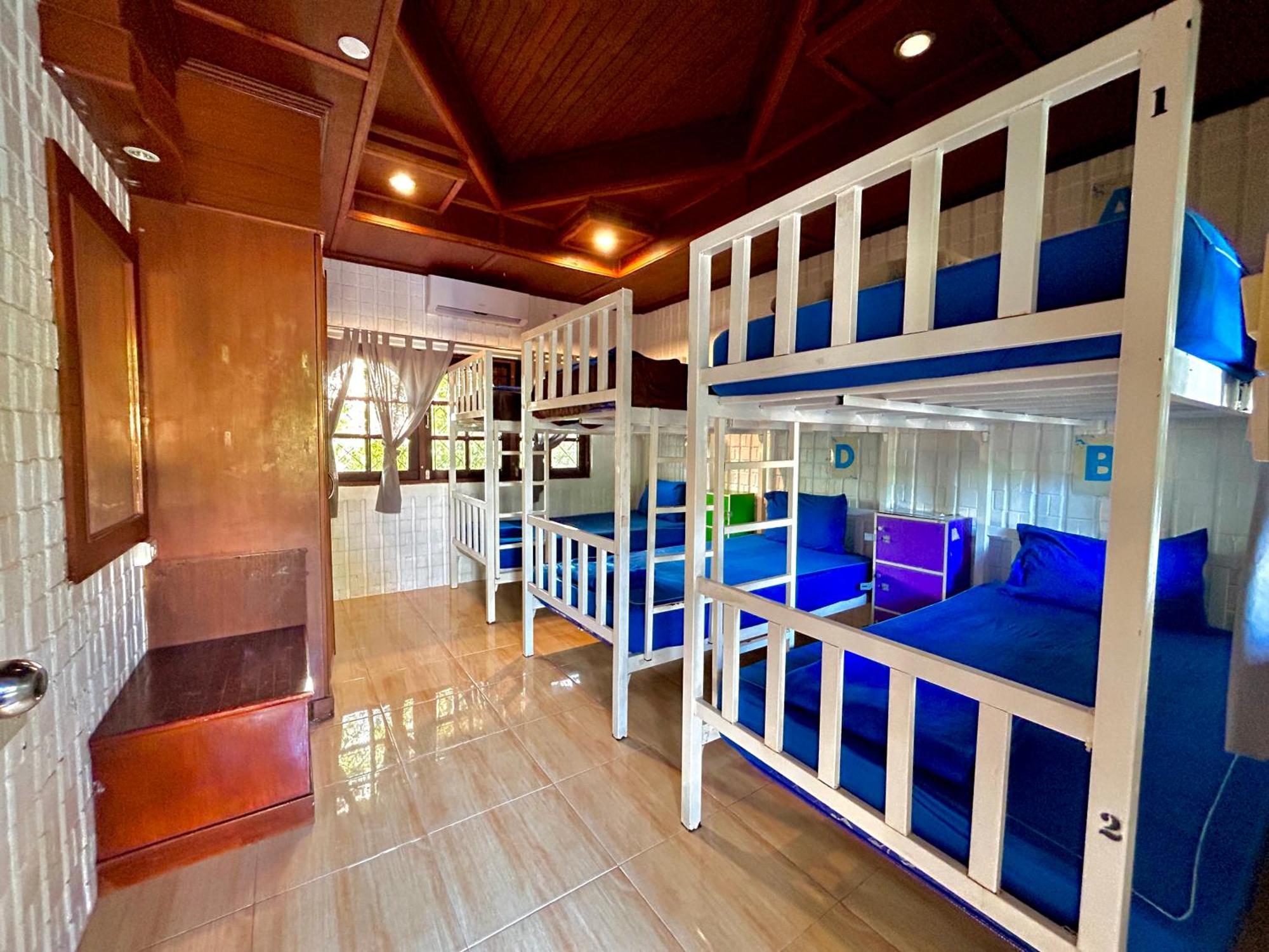 Bodega Koh Pha Ngan Beach تونغ سالا المظهر الخارجي الصورة