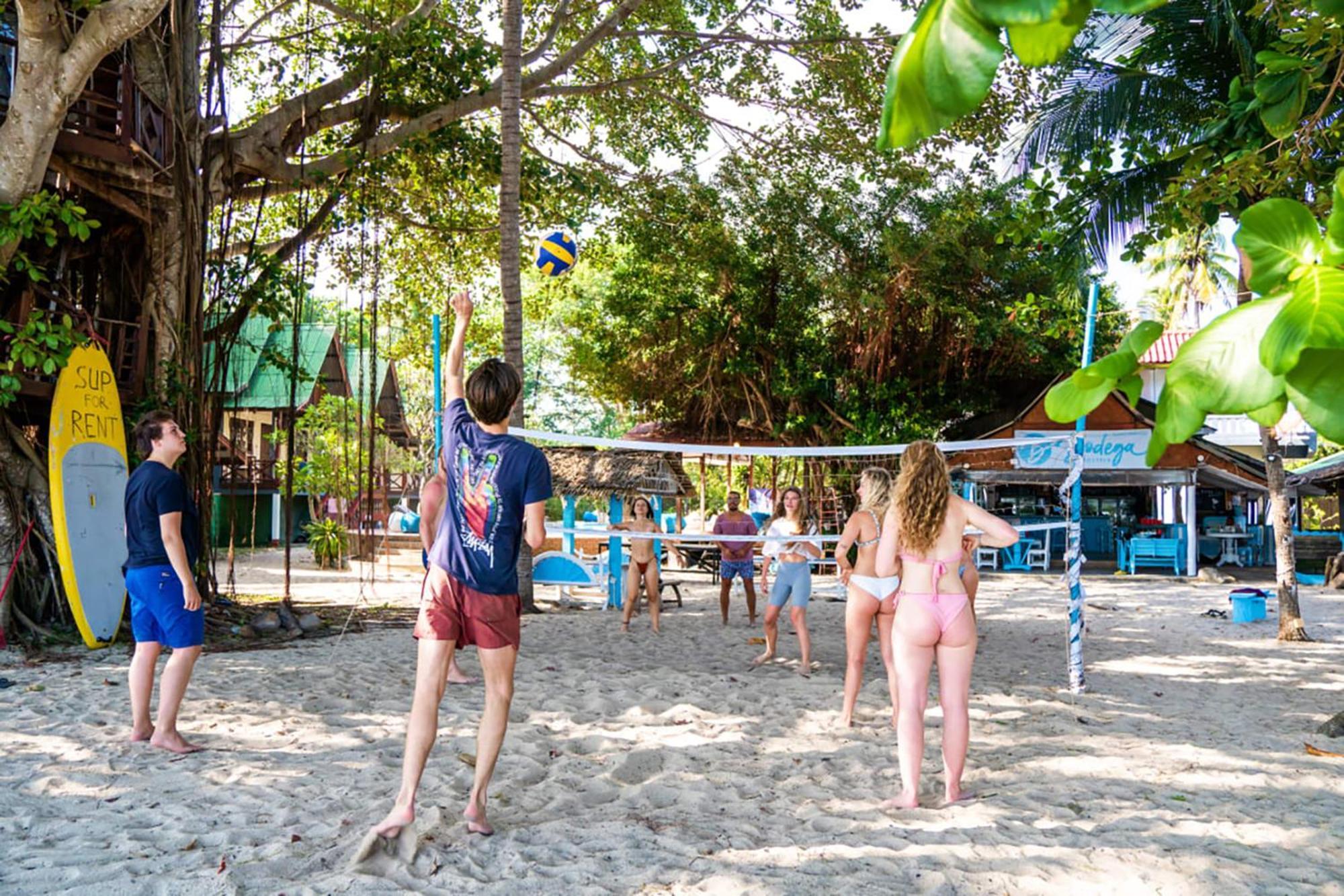 Bodega Koh Pha Ngan Beach تونغ سالا المظهر الخارجي الصورة
